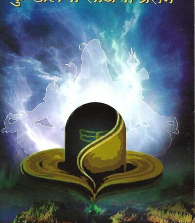 Kundalini Saadhana Prasang