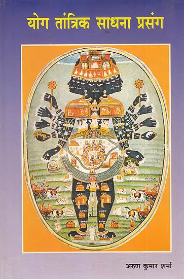 Yog Tantrik Sadhana Prasang