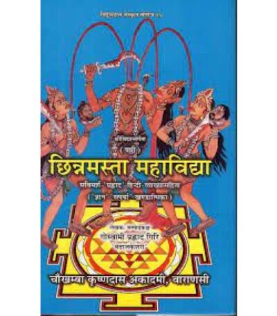 CHINNAMASTA MAHAVIDHYA 0N SRIVIDHYA