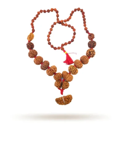 1 to 14 Mukhi Rudraksha Mala
