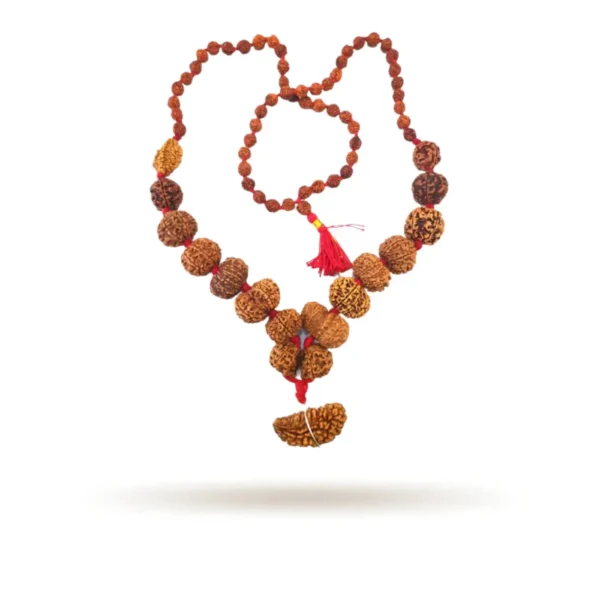 1 to 14 Mukhi Rudraksha Mala