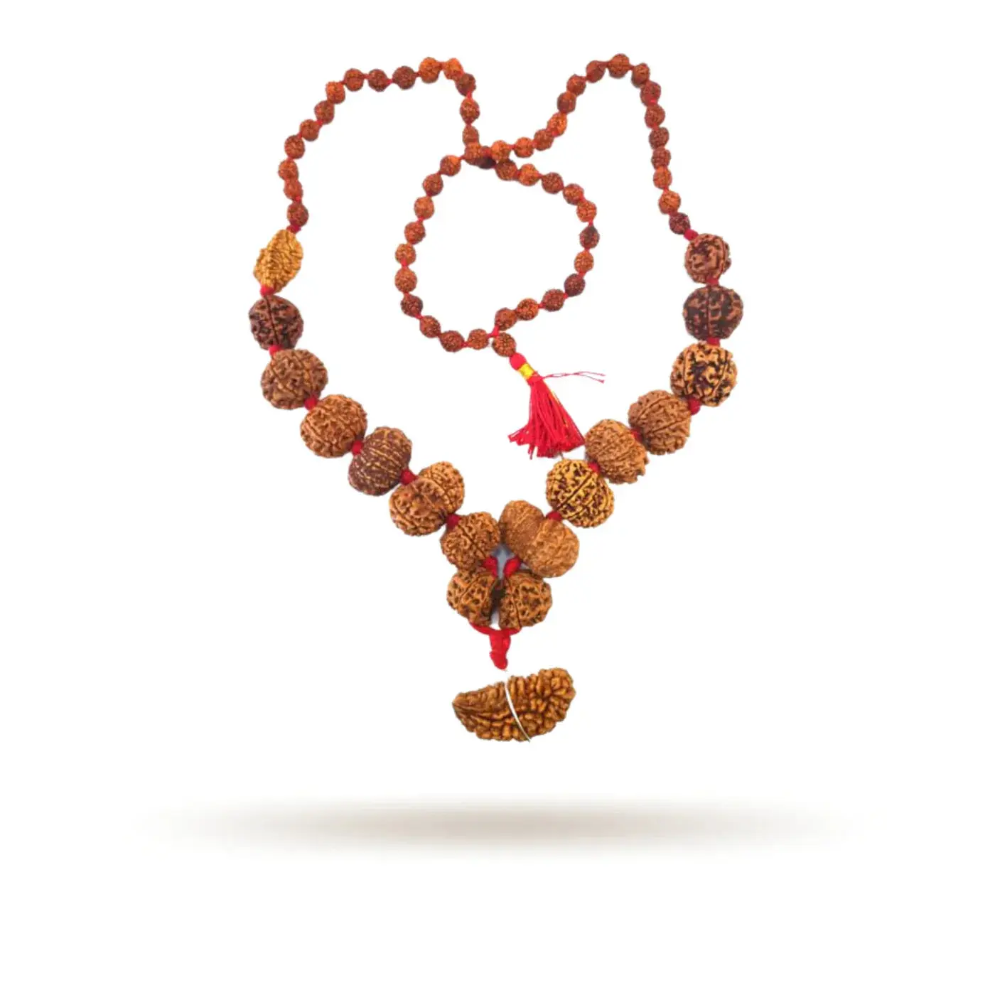 1 to 14 Mukhi Rudraksha Mala 1 to 14 Mukhi Rudraksha Mala