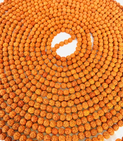 1008-Beads-Rudraksha