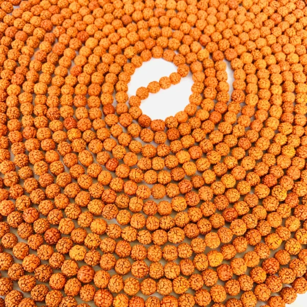 1008-Beads-Rudraksha