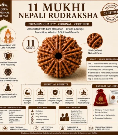 11 Mukhi Nepali Rudraksha Premium Bead | Original Certified Eleven Face Rudraksha for Courage, Wisdom & Spiritual Growth