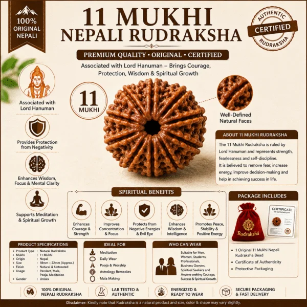 11 Mukhi Nepali Rudraksha Premium Bead | Original Certified Eleven Face Rudraksha for Courage, Wisdom & Spiritual Growth