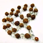 3 Mukhi Rudraksha